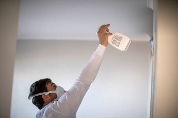 Best Residential Mold Remediation in Beverly, OH