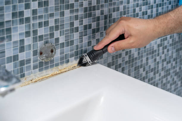 Best Commercial Mold Remediation in Beverly, OH